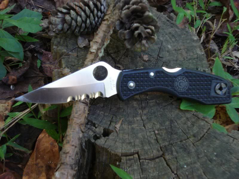 Delica3_1.jpg