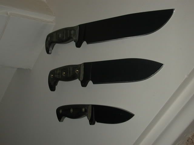 DSCN5518.jpg