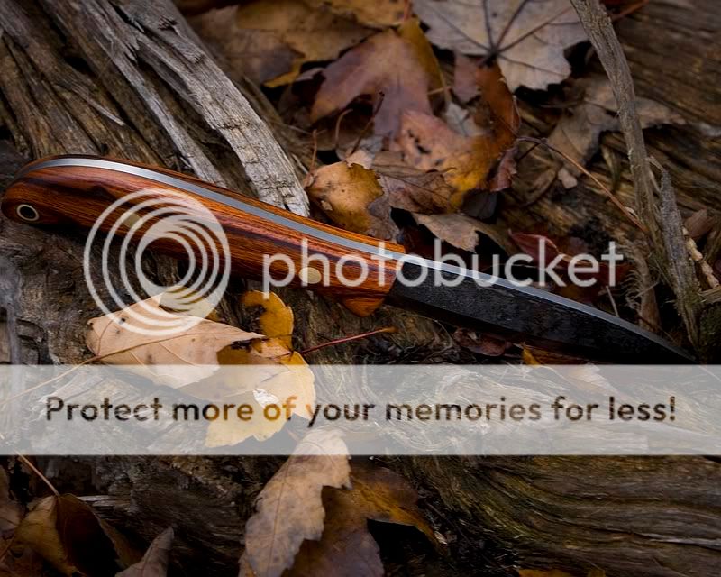 IMG_4931.jpg