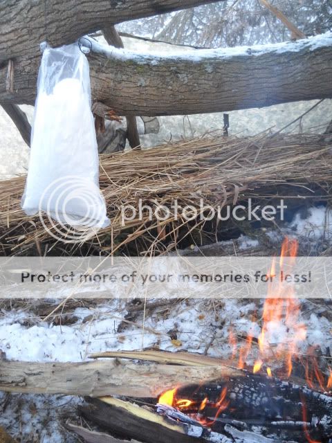 Meltingsnowinabag.jpg