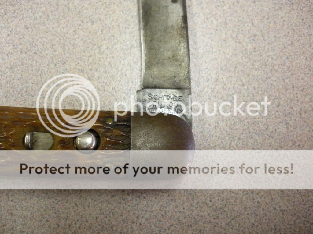 DSCN2047.jpg