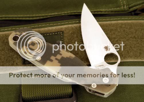 PARA2CAMO001.jpg