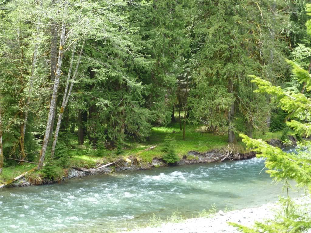 P1000250.jpg