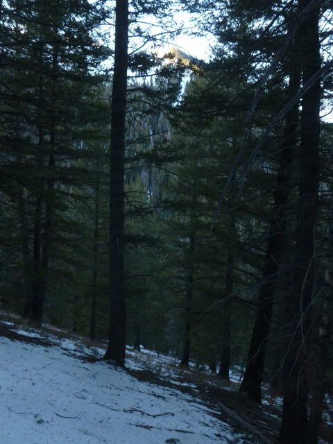 P1020258.jpg