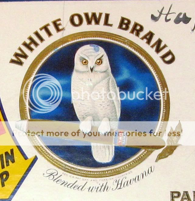 whiteowl.jpg