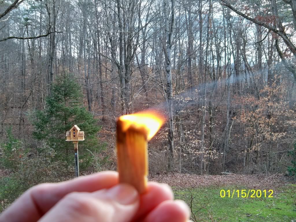 2012-01-15086.jpg