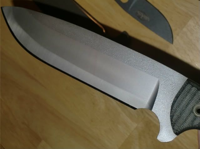 CIMG6595.jpg