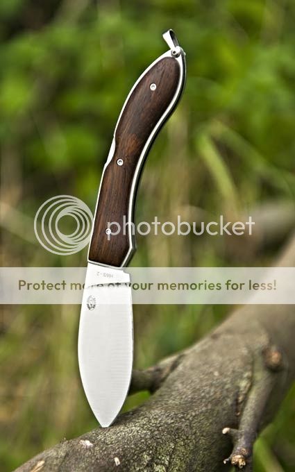 RockCreekSaguaro_zpsfdcd90d4.jpg
