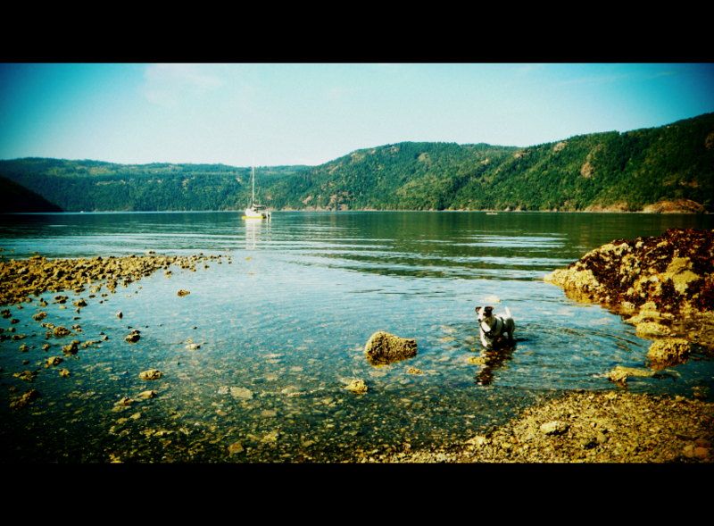McKenzieBite2012005.jpg