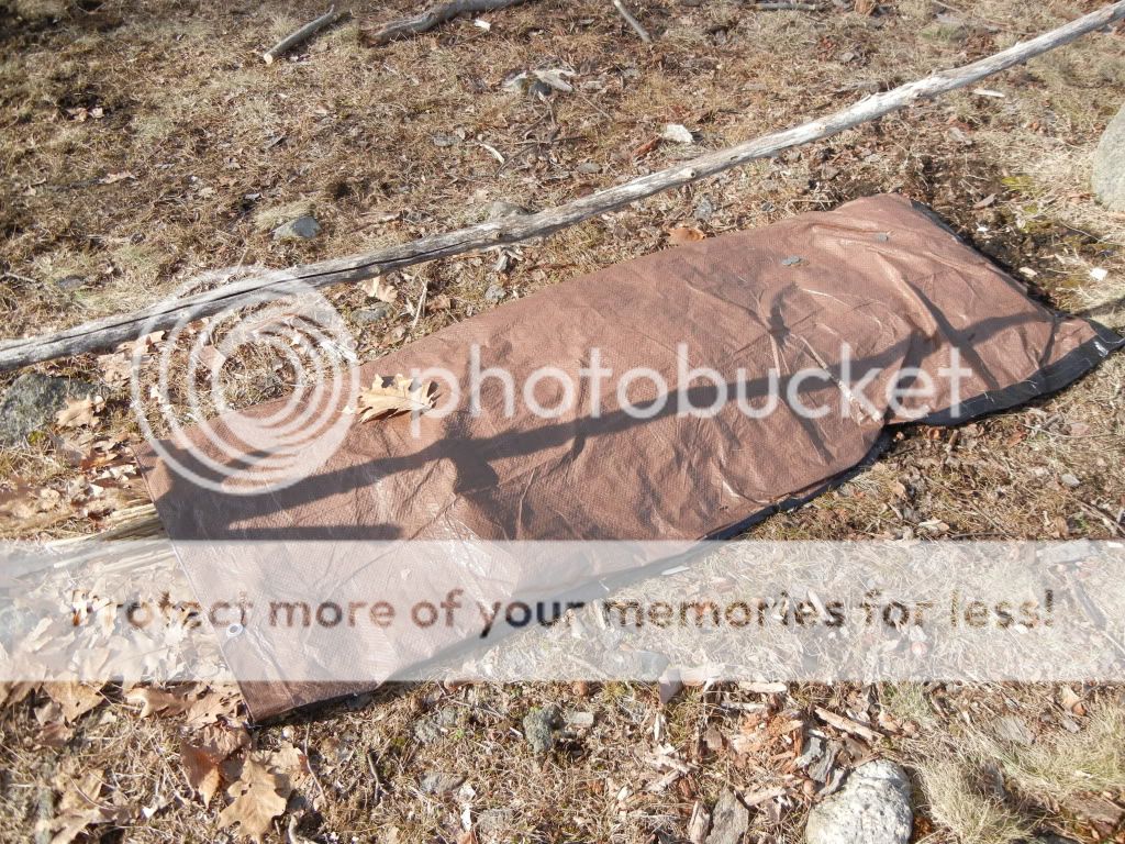 Newpics054.jpg