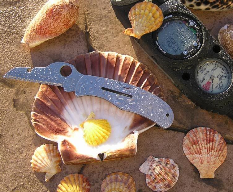 SpydercoDiver.jpg