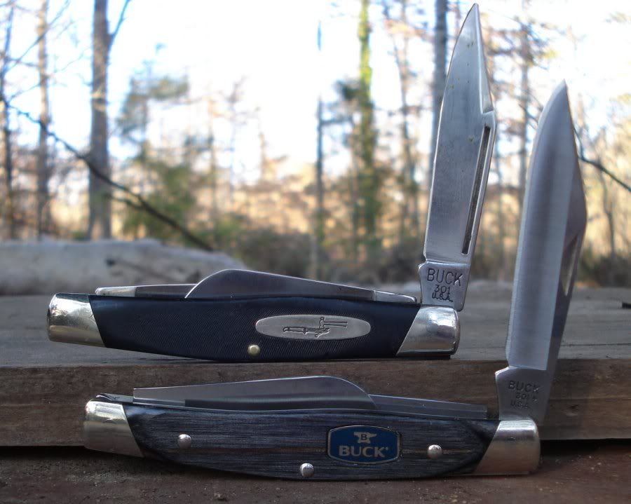 Buck301_a4.jpg