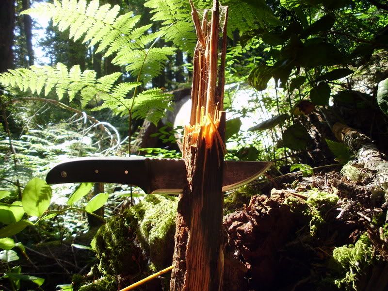 P7270005.jpg