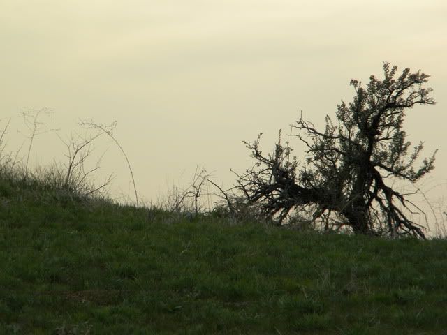 april10028.jpg
