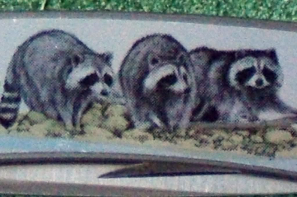 Buck525RacoonsAusschn.jpg