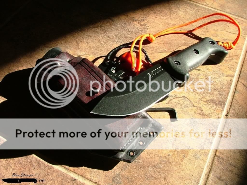 DSCF3672.jpg