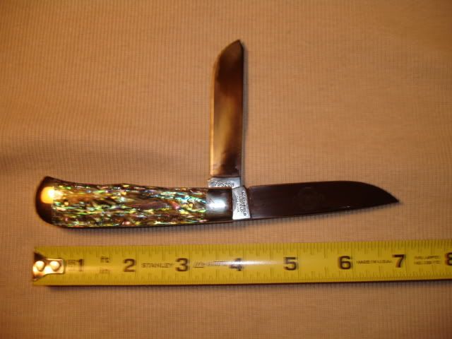 DSC01481.jpg
