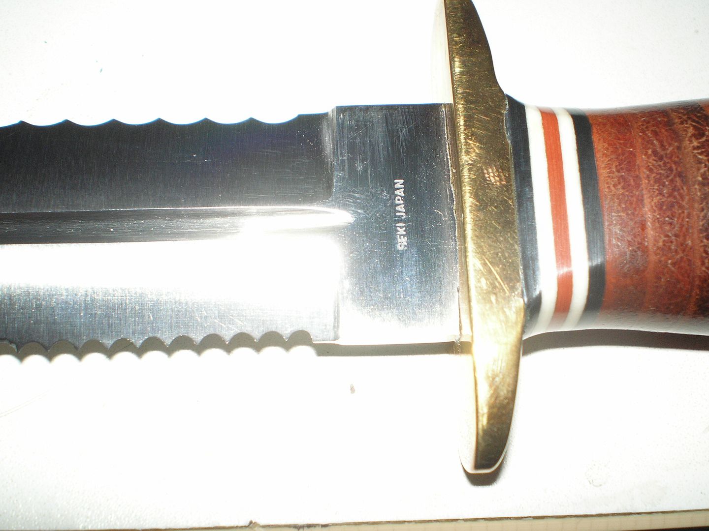 P1010267.jpg