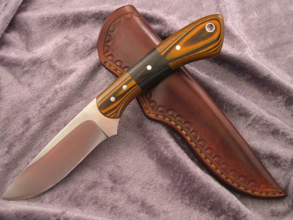 BandedKrait20.jpg