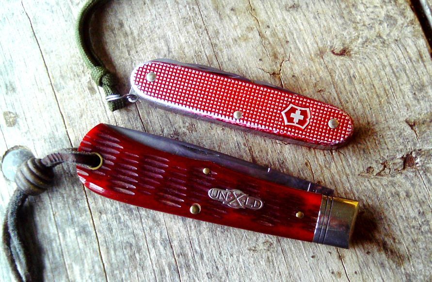 PioneerFarmer_zps604d28da.jpg
