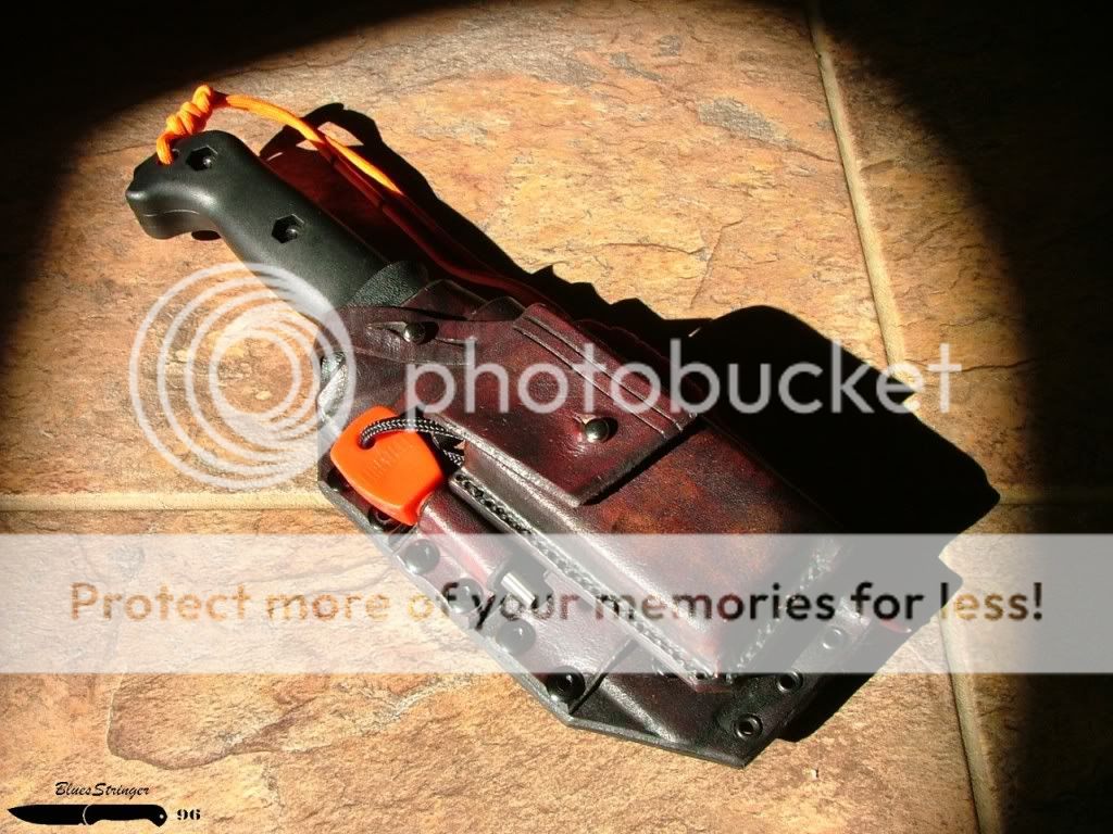 DSCF3689.jpg