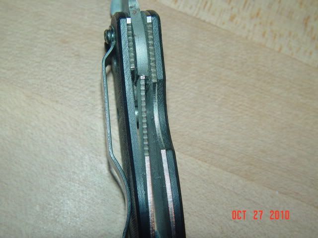 DSC00231.jpg