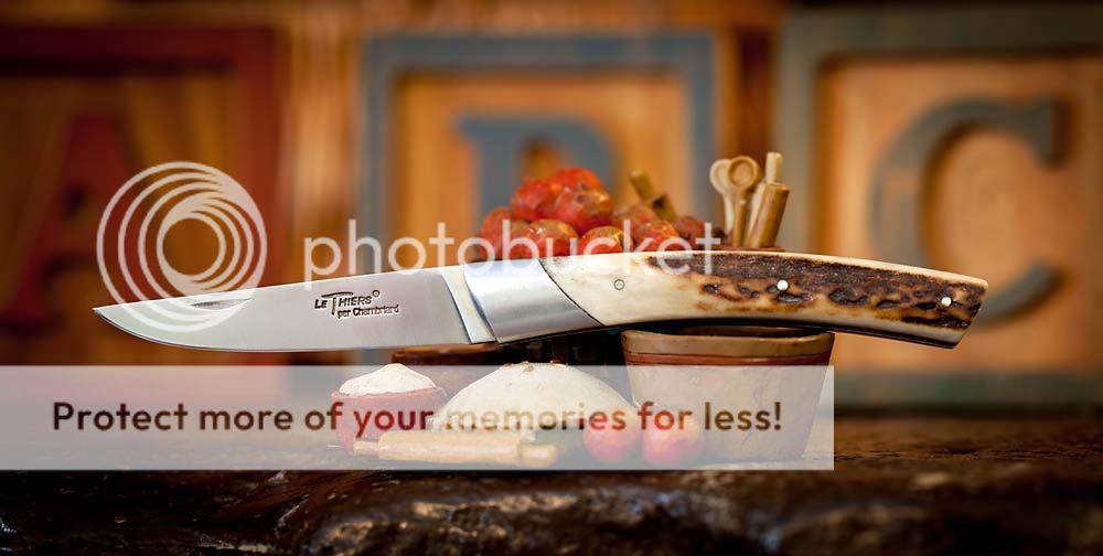 LeCompact_stag.jpg~original