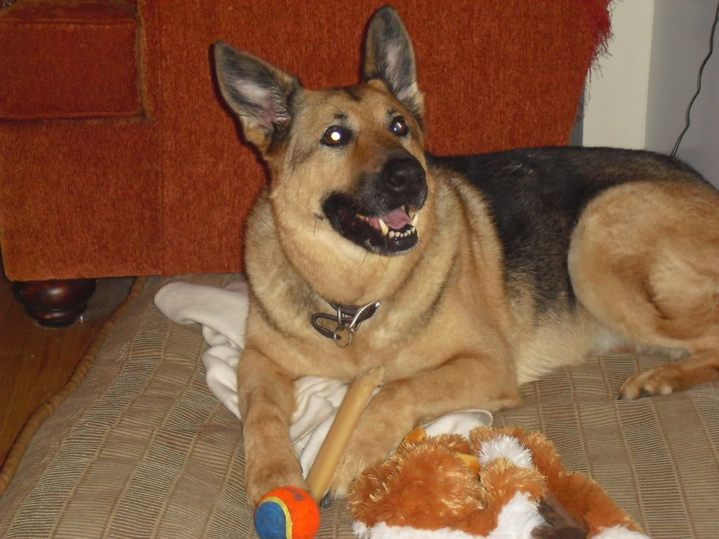 Sasha10-03-2011005.jpg