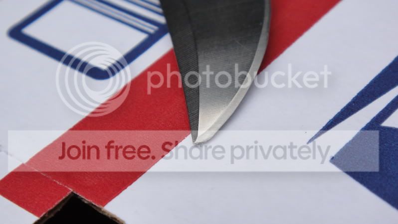 342293c8.jpg