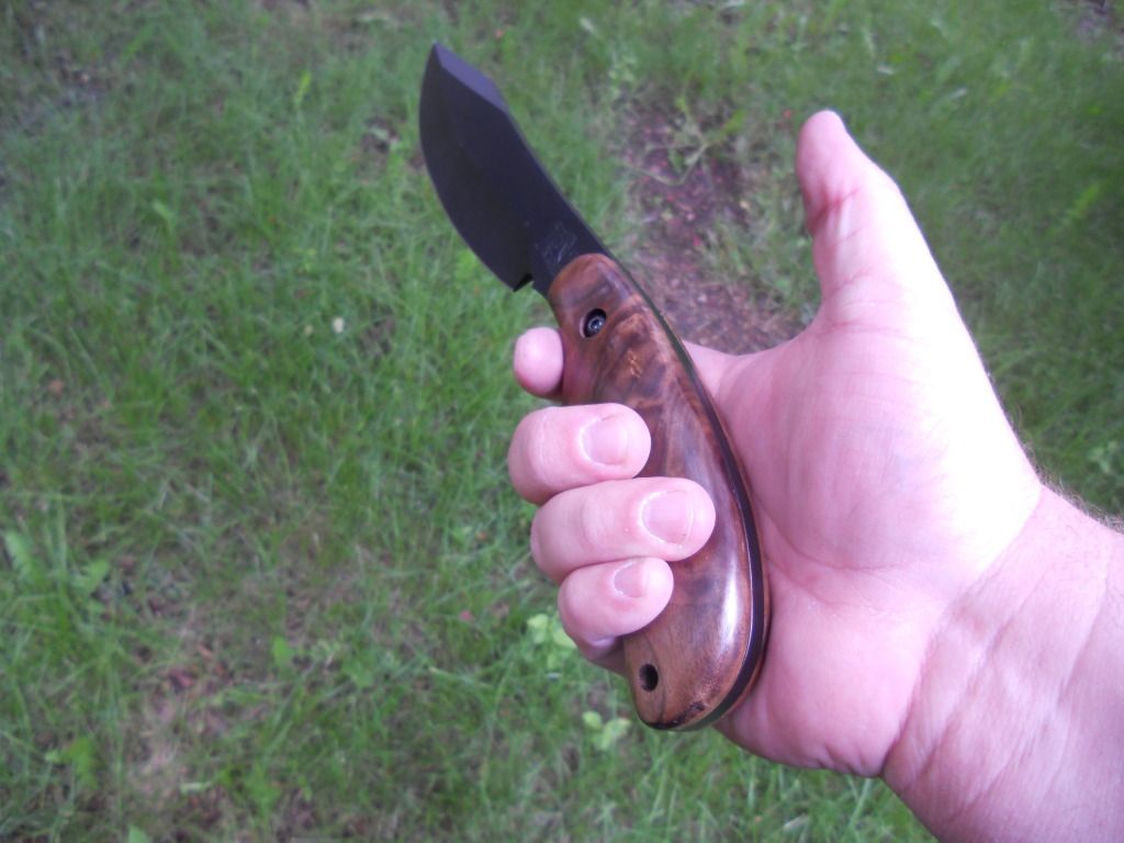 DSCN0488.jpg