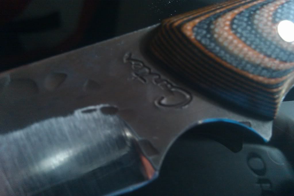 IMAG0266-1.jpg