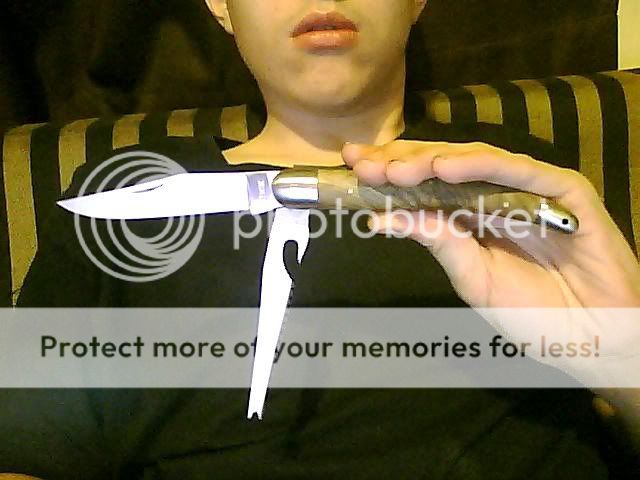 Picture0031.jpg