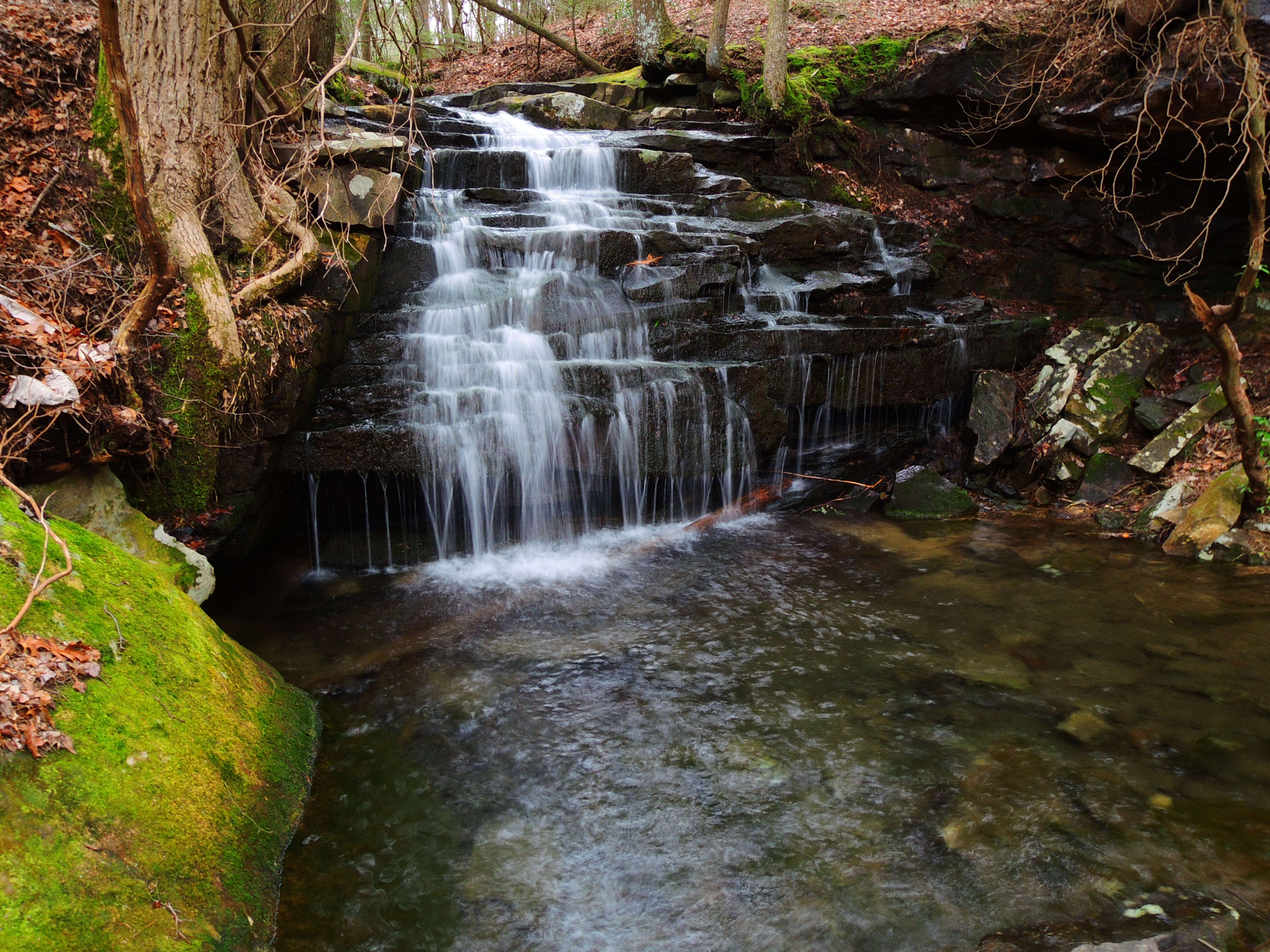 dscn7745.jpg