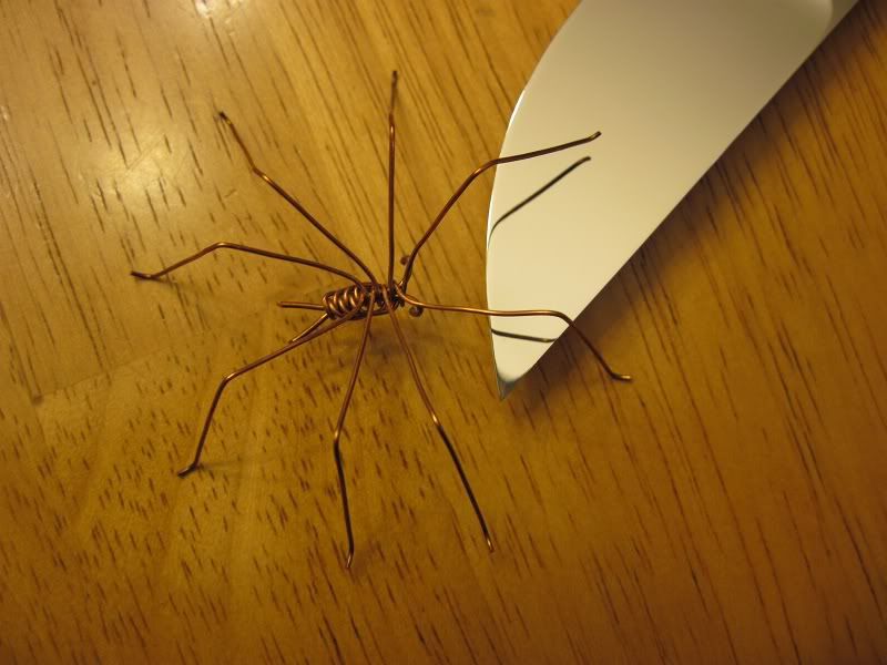 spider2.jpg