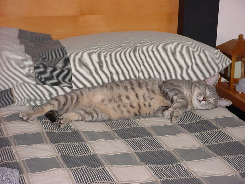 7-15-02006.jpg