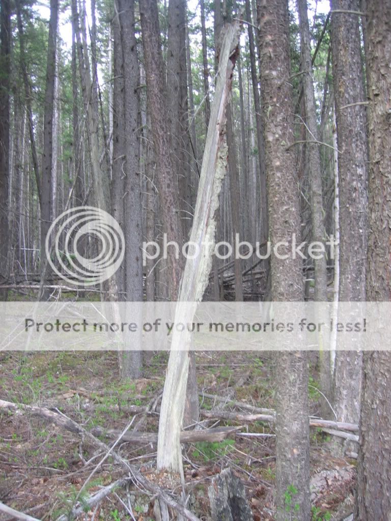 8footer.jpg