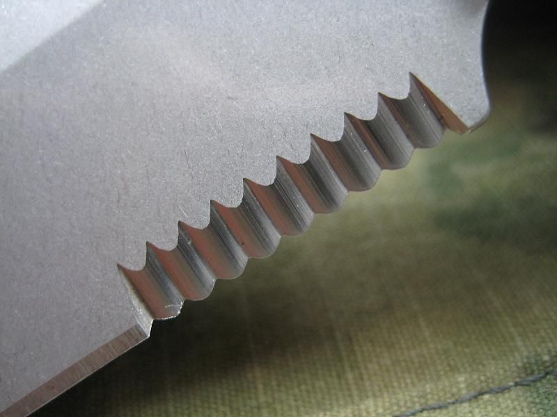 zt10.jpg
