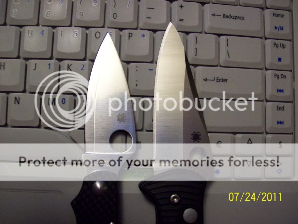 100_1280.jpg