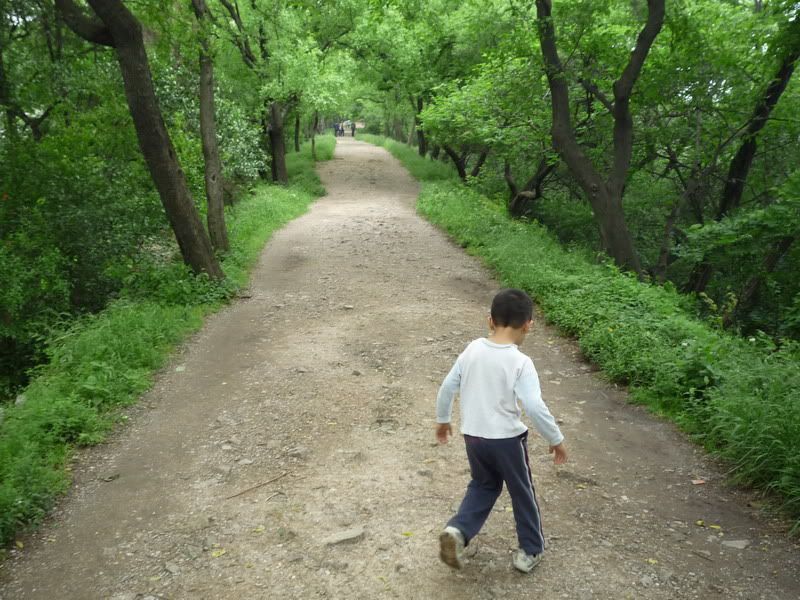 P1060852.jpg