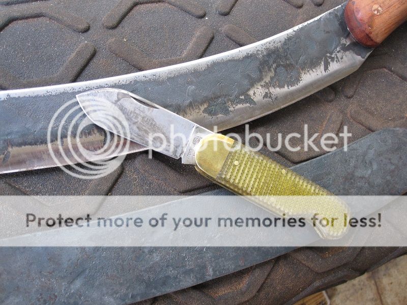 IMG_2351_zps6e65e51f.jpg~original