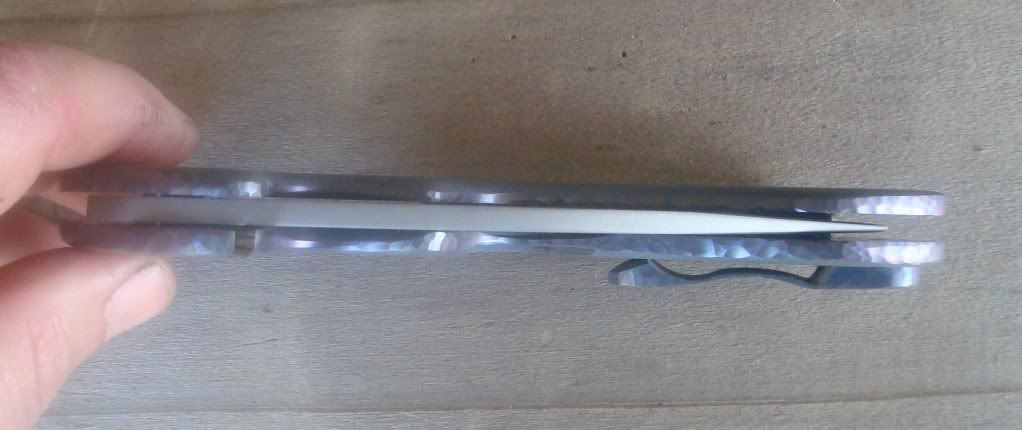 flipper12710027.jpg