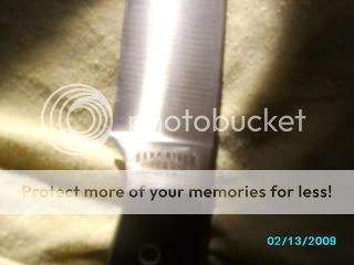pics007.jpg