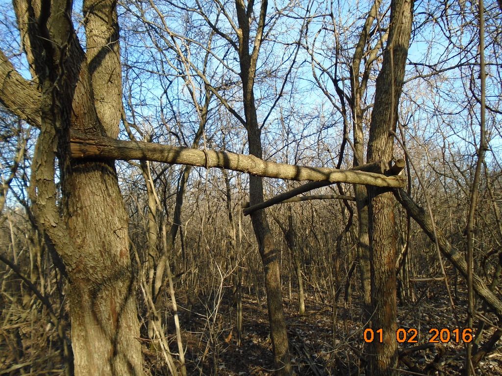 DSC00117_zpsweja2j1s.jpg