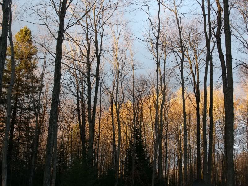 Sunsetwalk010.jpg