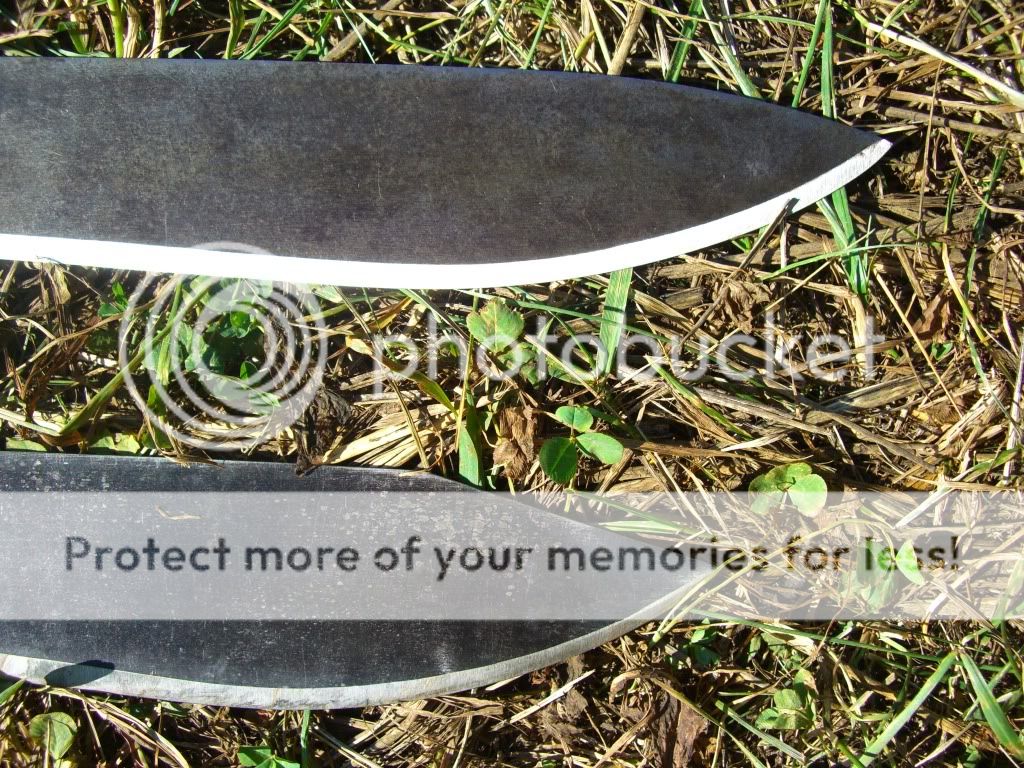 CIMG8146.jpg