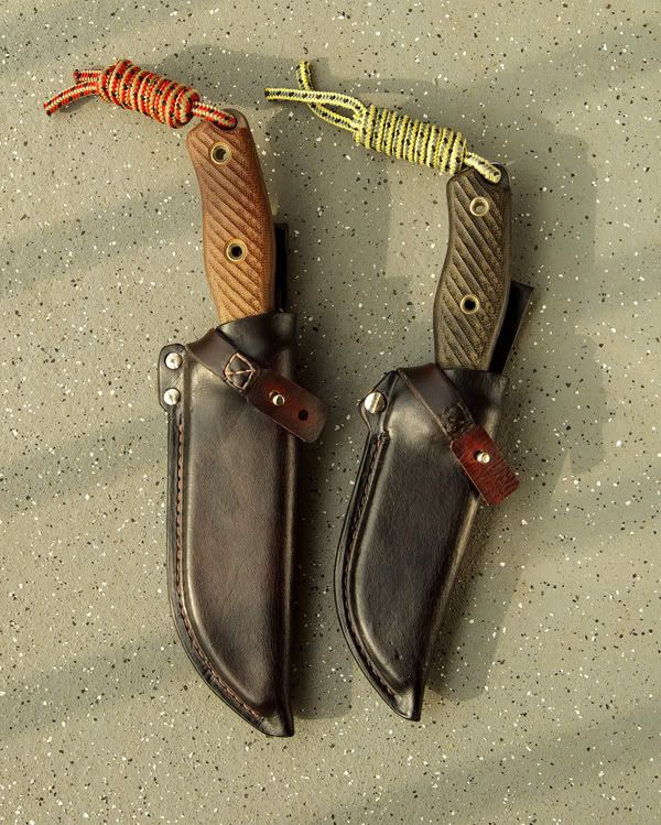 RatSheaths02.jpg