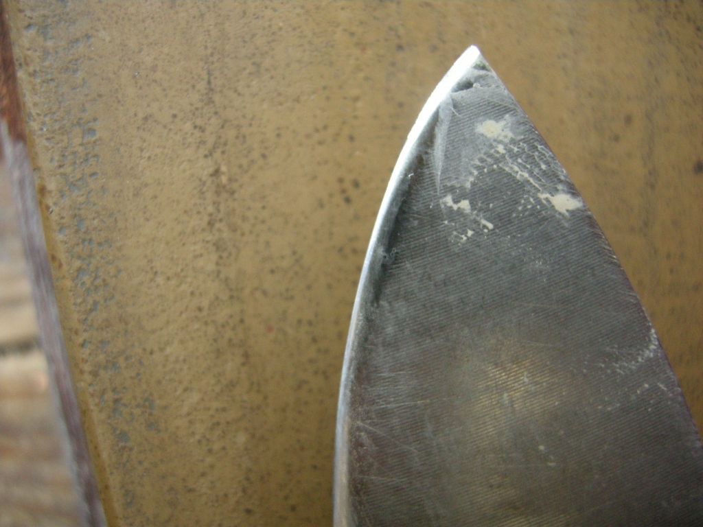 DSCN1381.jpg
