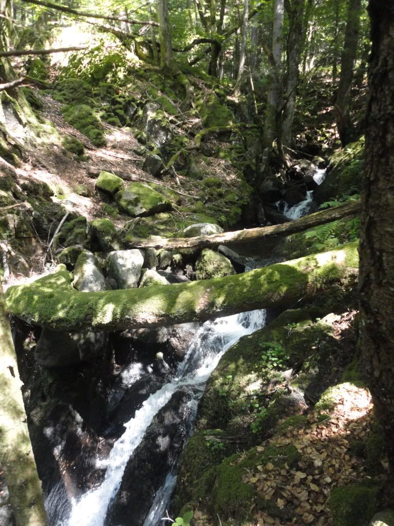DSC01873.jpg