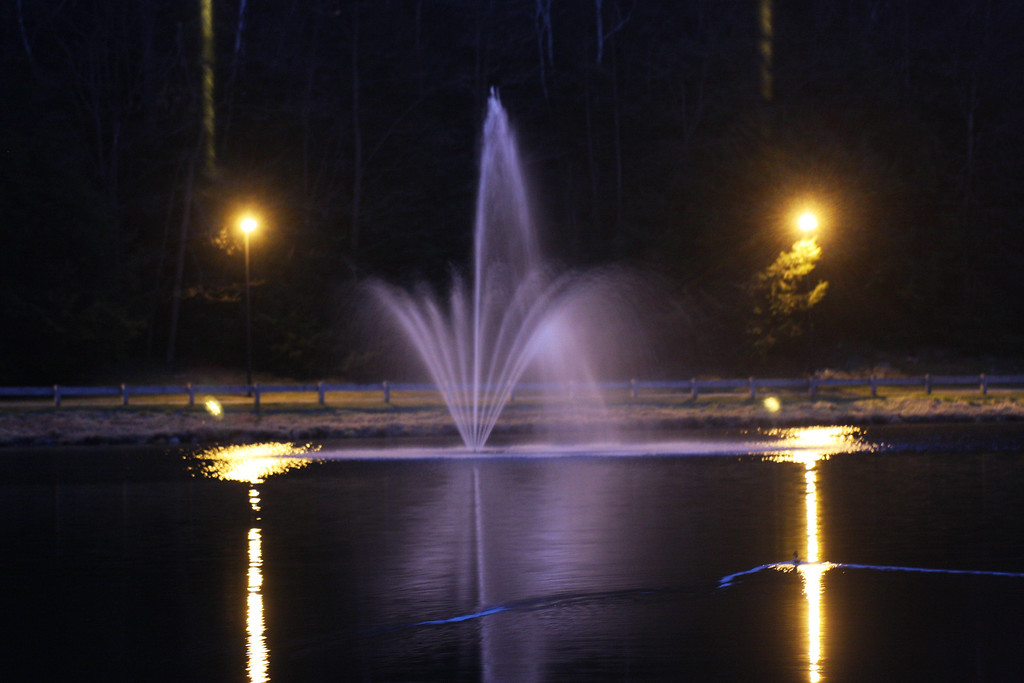 IMG9024-XL.jpg