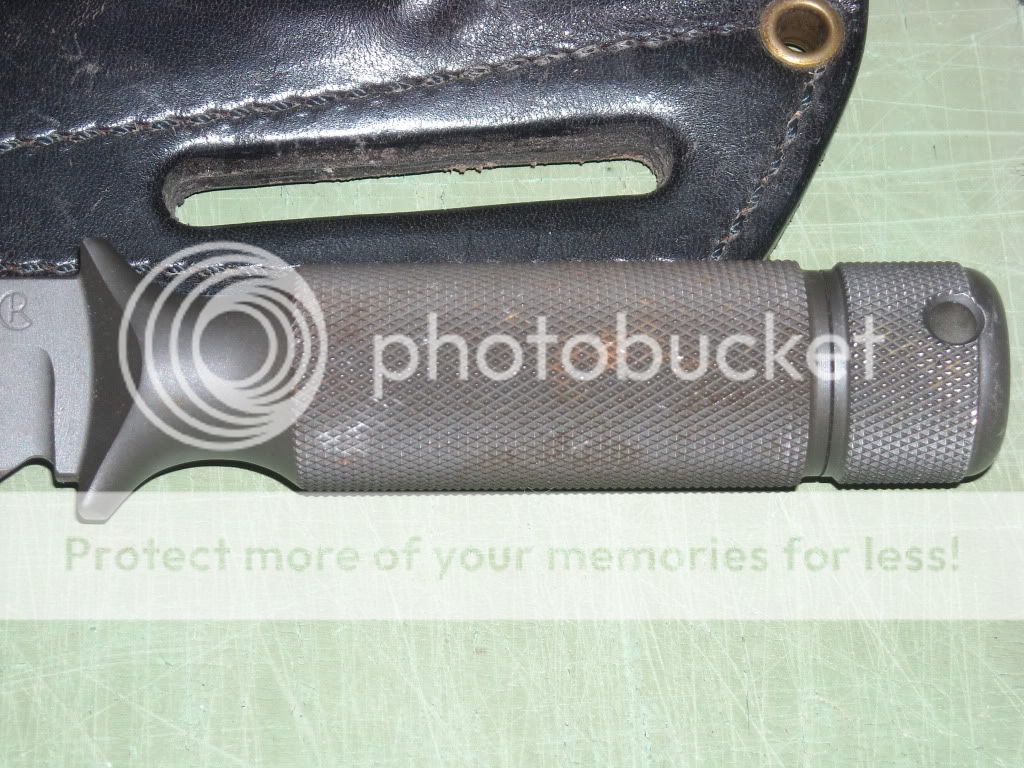 DSCN3110.jpg